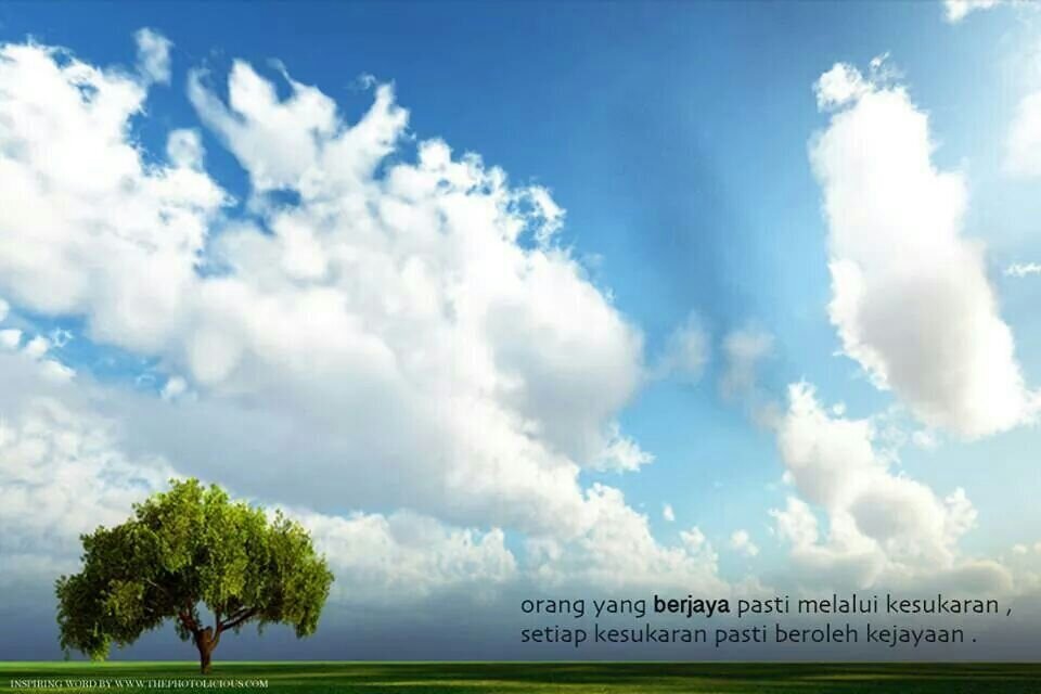 iyeda_aida's profile banner image