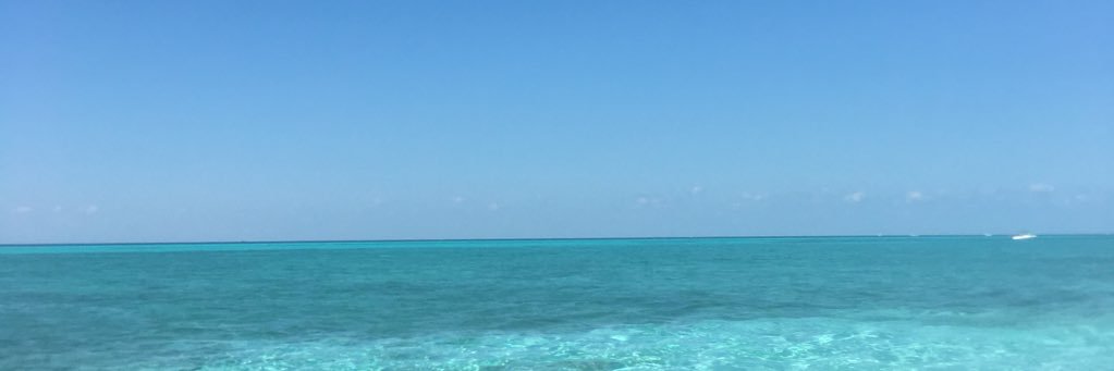 guilleguzman's profile banner image