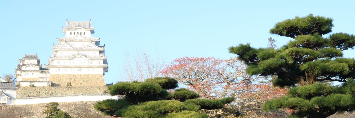 n_fkc's profile banner image