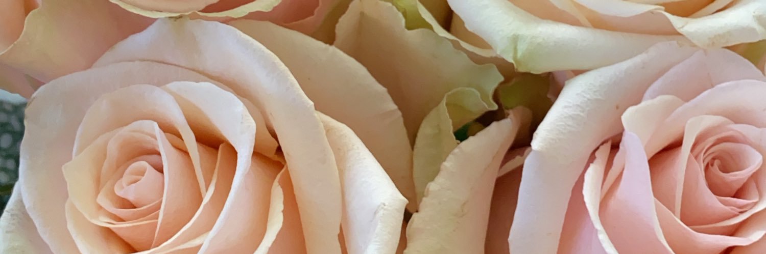 ShadieBby's profile banner image