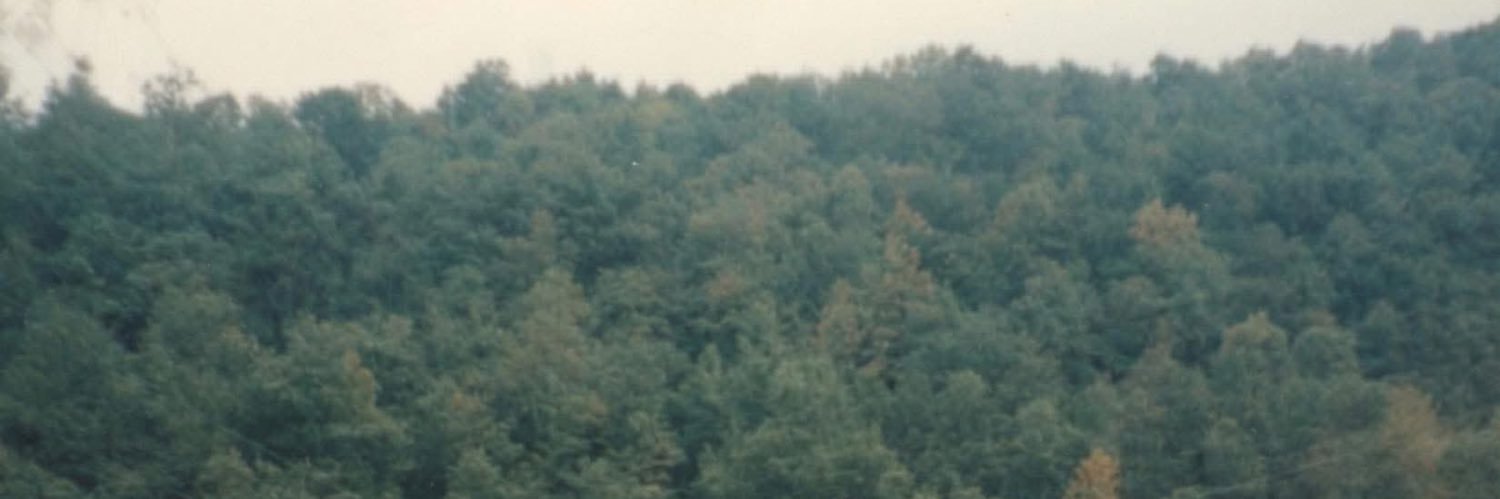 hoerespector's profile banner image