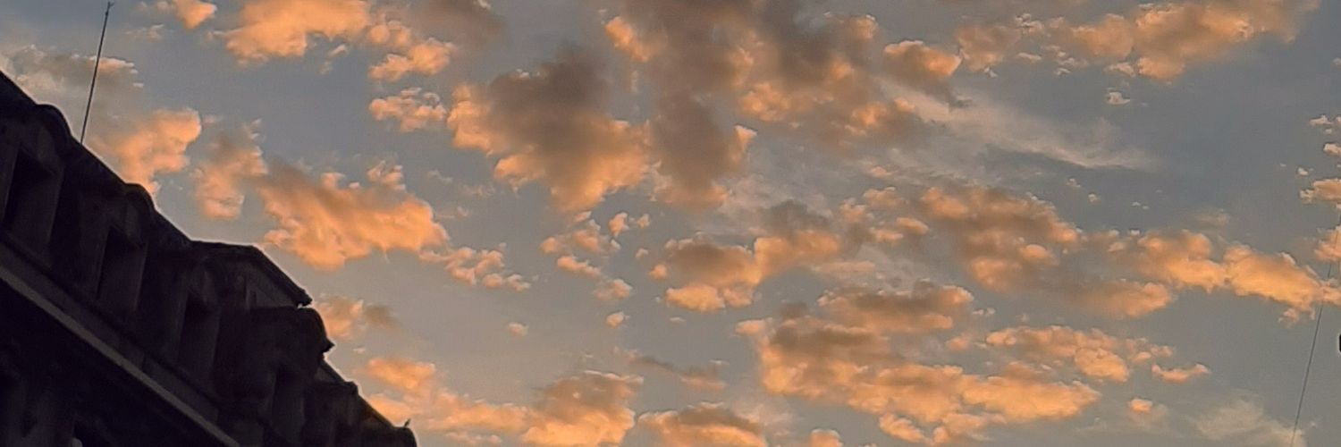 liliadiazz's profile banner image