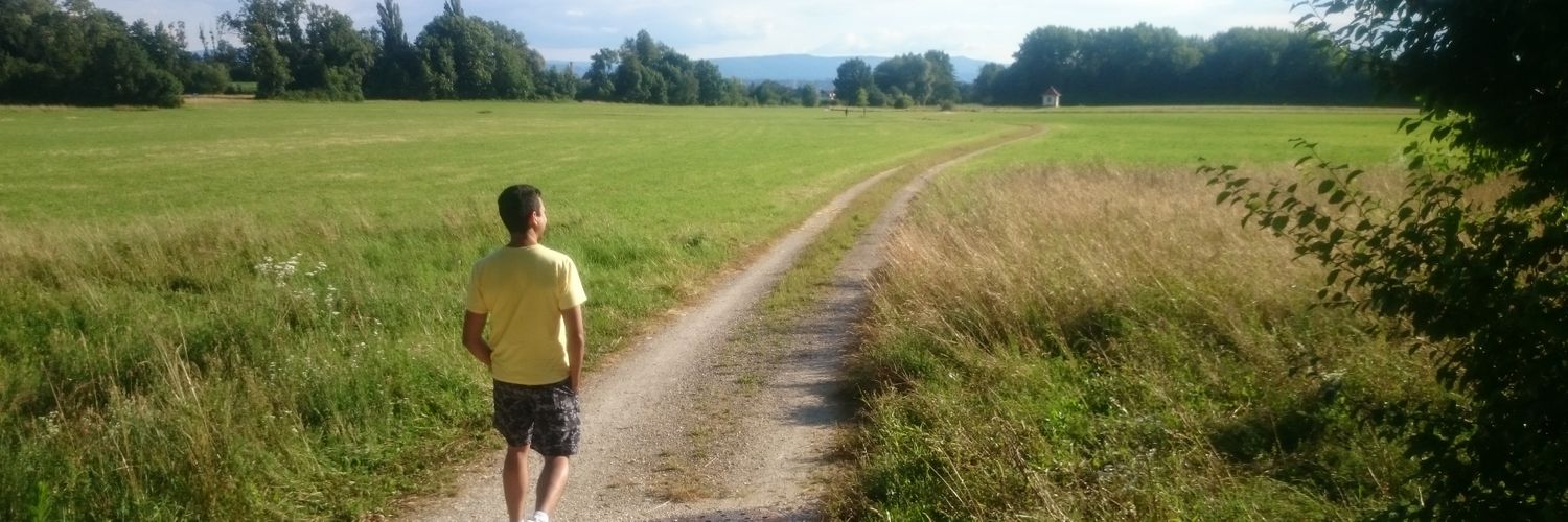 alexandre_aja's profile banner image