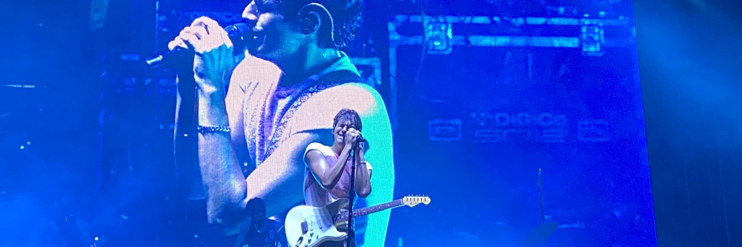 littylikelauren's profile banner image