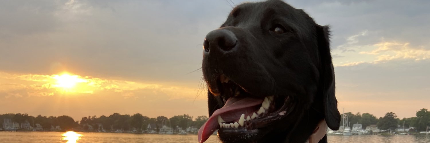 carly_mccree's profile banner image