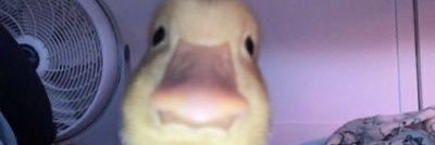 Der_Jefff's profile banner image