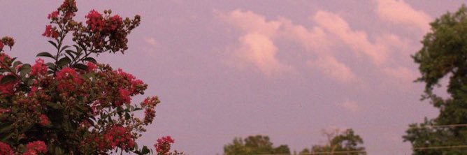 _maddieparent's profile banner image