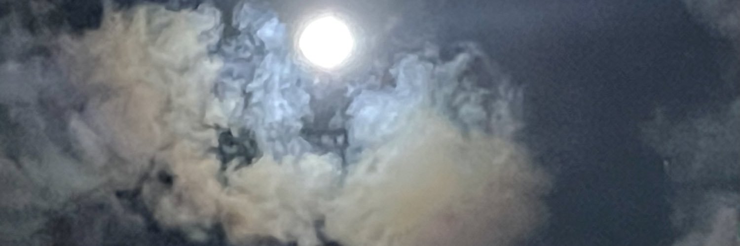 LVMarmie's profile banner image