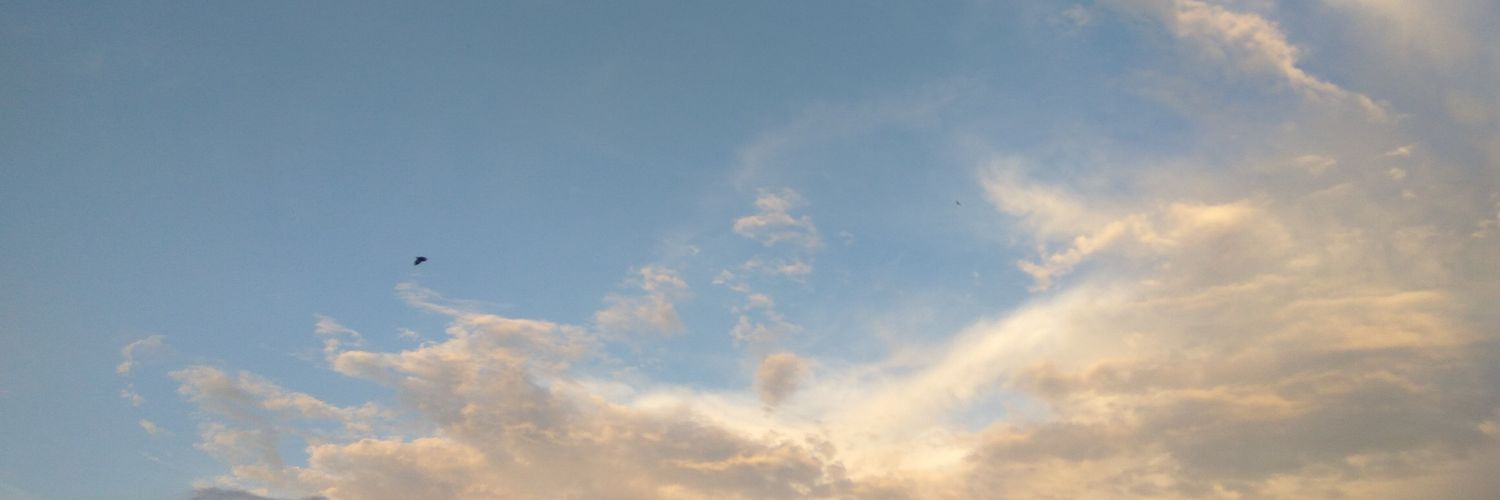 crazybluewoman's profile banner image