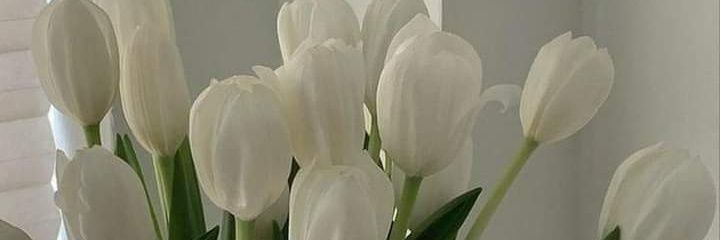 _vickyveliz's profile banner image