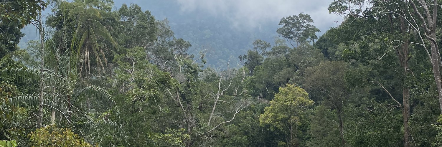 AzlanHamzah1's profile banner image
