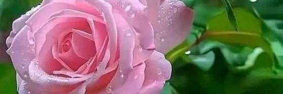 we556655's profile banner image