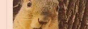 lewhitehd's profile banner image