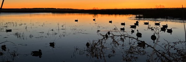 Scott_Adreon Profile Banner