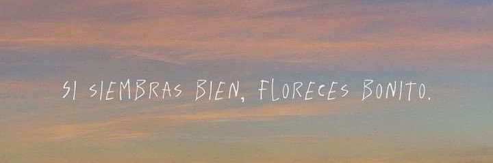 Miss Petite ★ツ banner