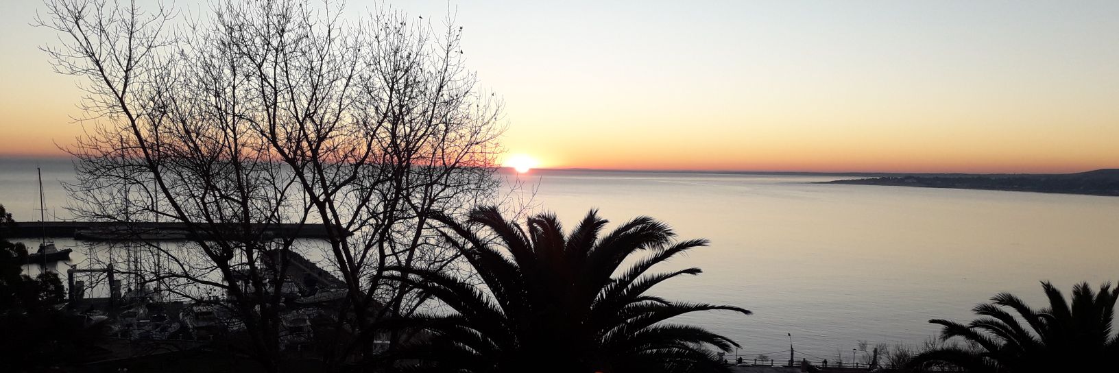 Robert Arismendi banner