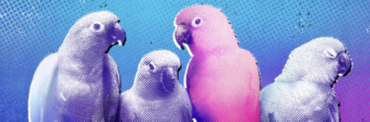 trifoliumX's profile banner image