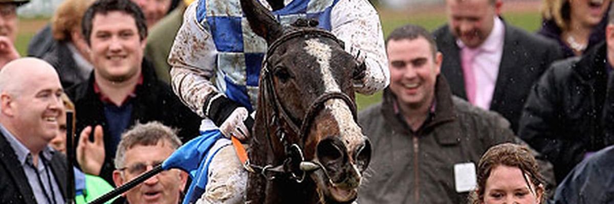 Sean McCarthy banner