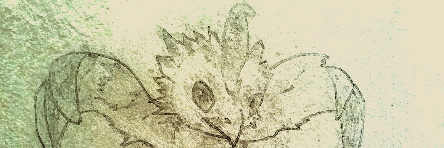 BenjaminChristy's profile banner image