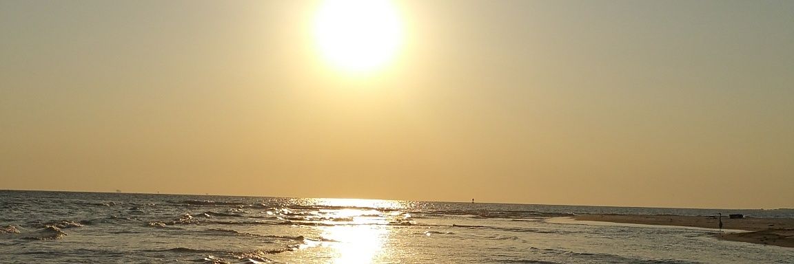 George Crummer 🪺 banner