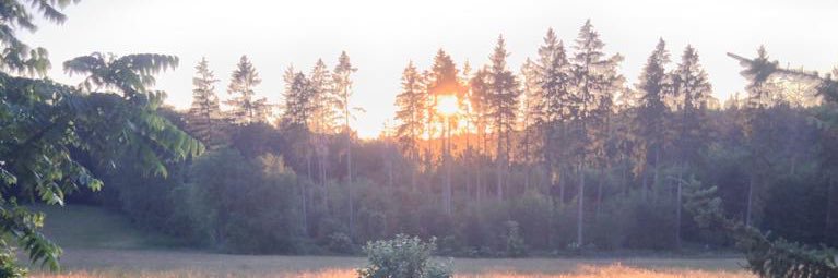 WBoegens's profile banner image