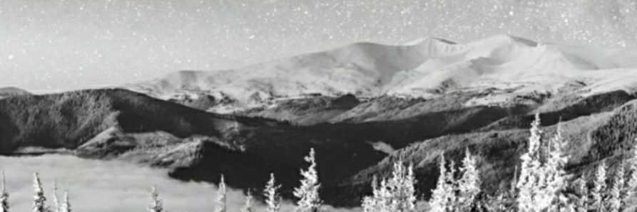 Franevy's profile banner image