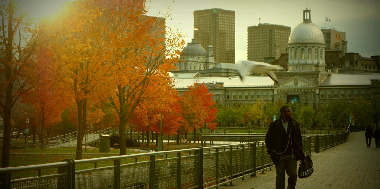 rdymapex's profile banner image