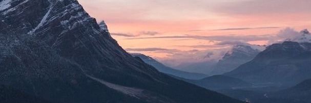 Vico banner