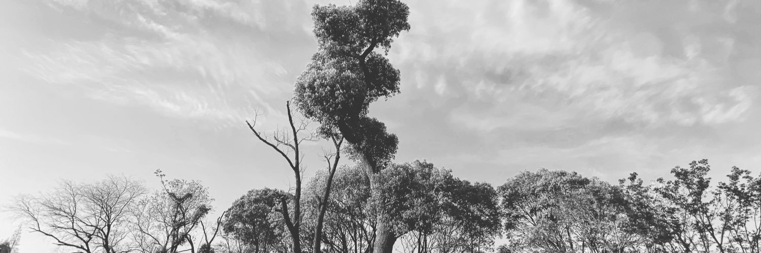effy_yi's profile banner image