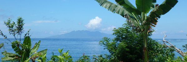 jacq_lau Profile Banner