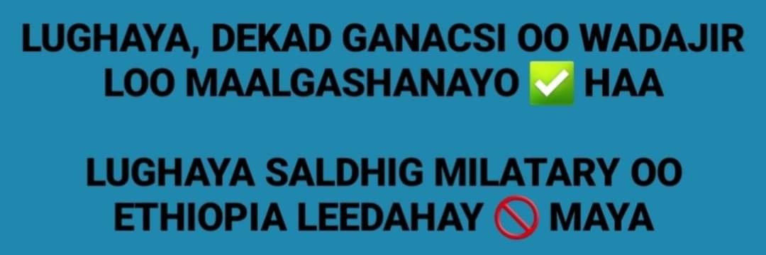 Abdirahman Mohamed Ibrahim's banner