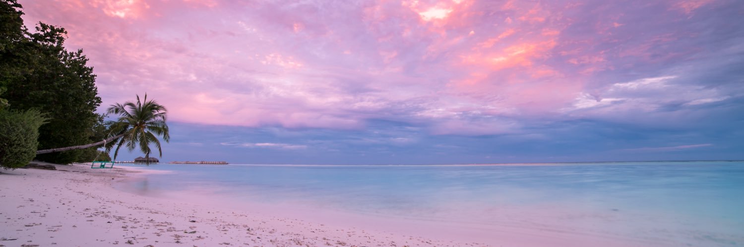 rositagarces's profile banner image