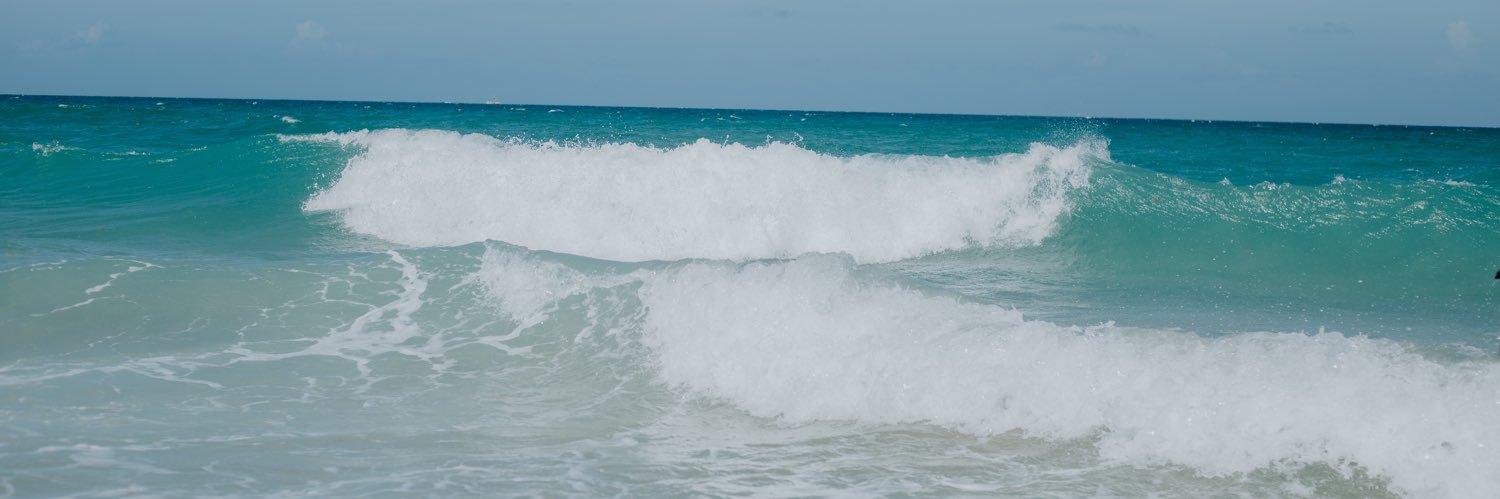 cali_ily's profile banner image
