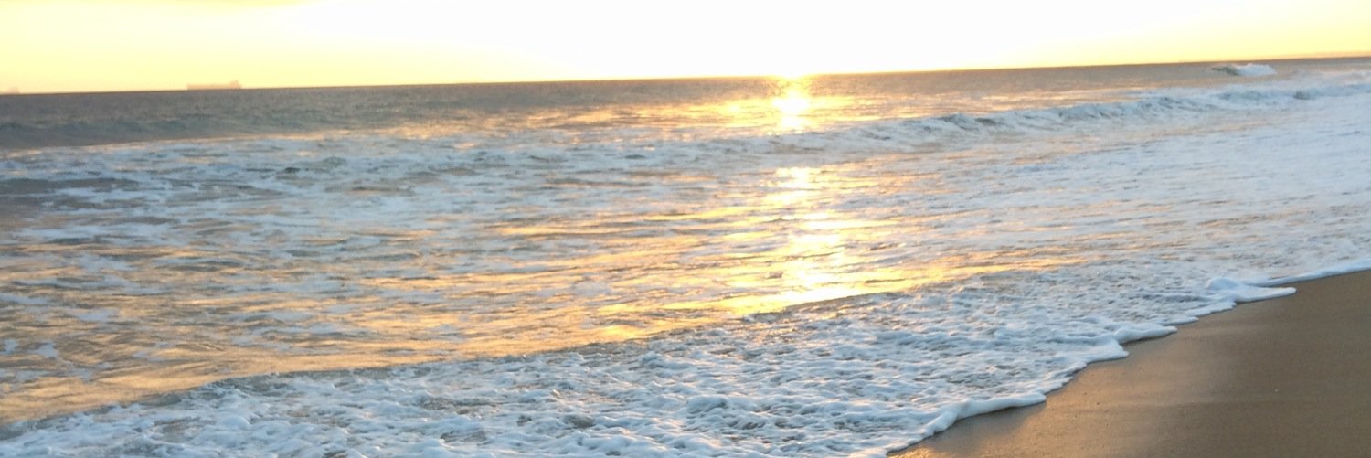 mistyrozay's profile banner image