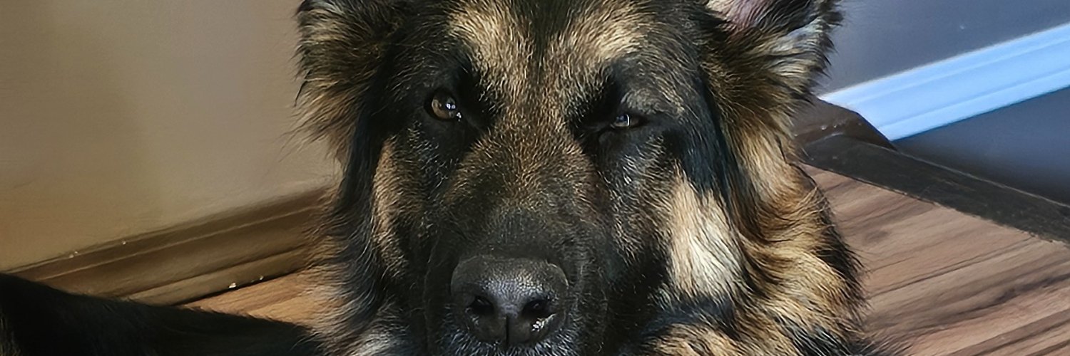 GreyH101's profile banner image