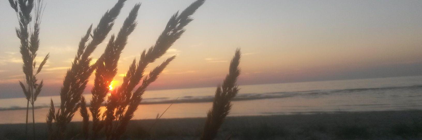 BriedisBr's profile banner image
