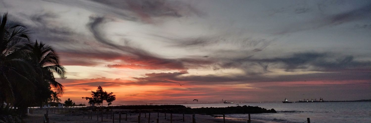 Paola_CP_'s profile banner image