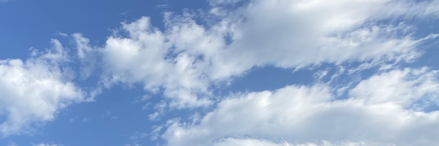 Louise banner