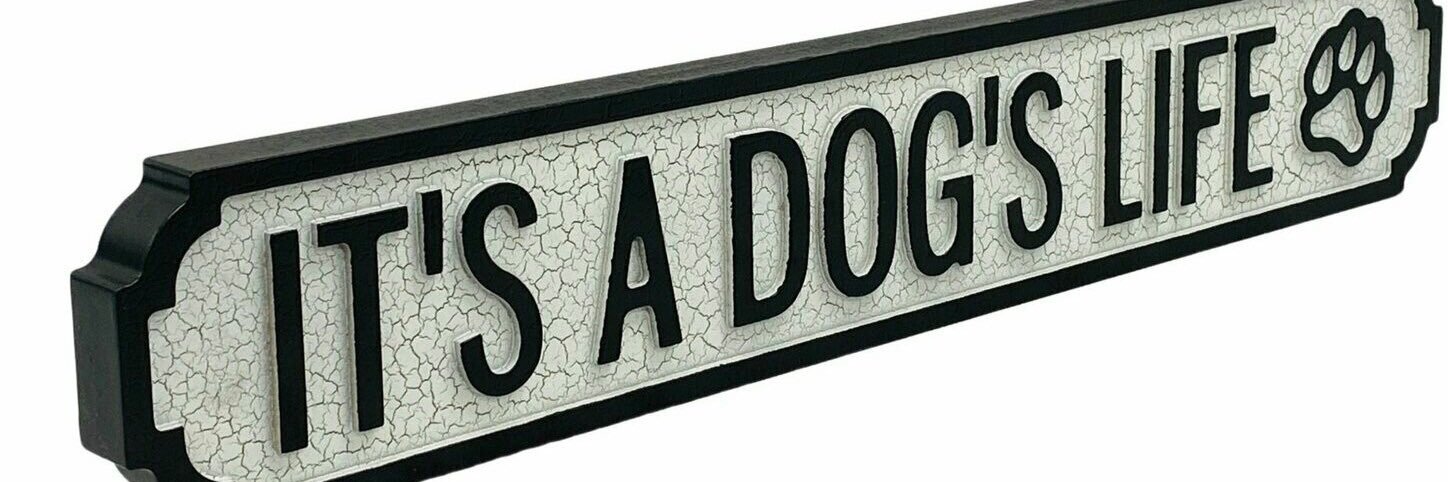 dogluv52's profile banner image
