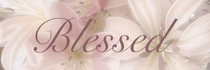 n00tyoonseo's profile banner image