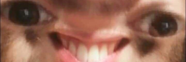 ImPieroo's profile banner image