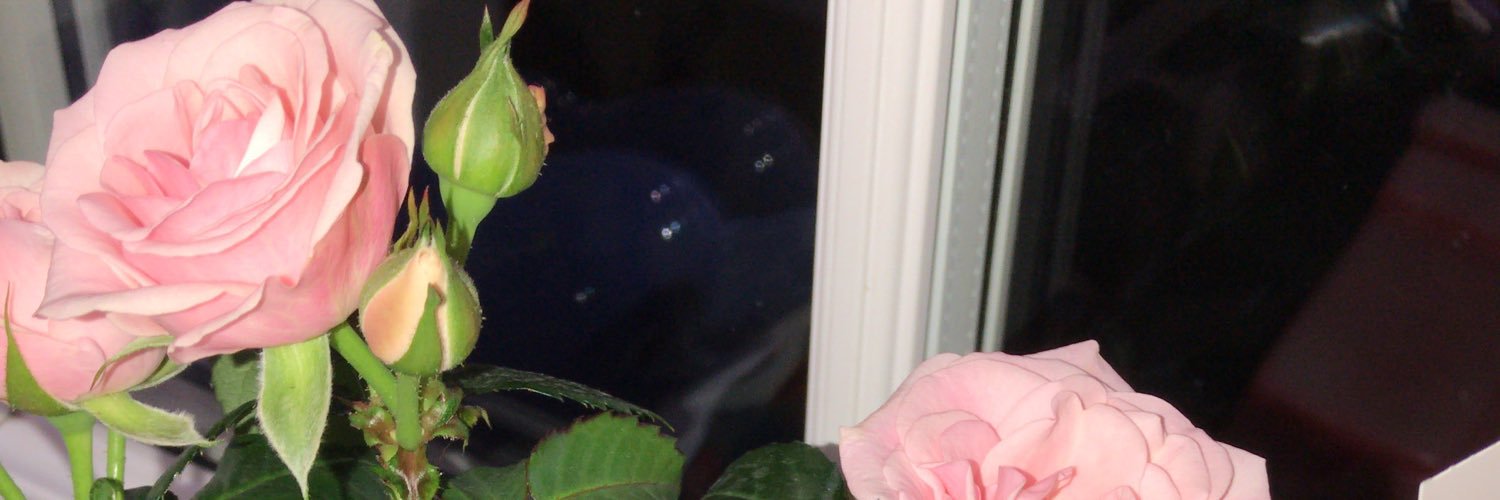 Jomolls's profile banner image