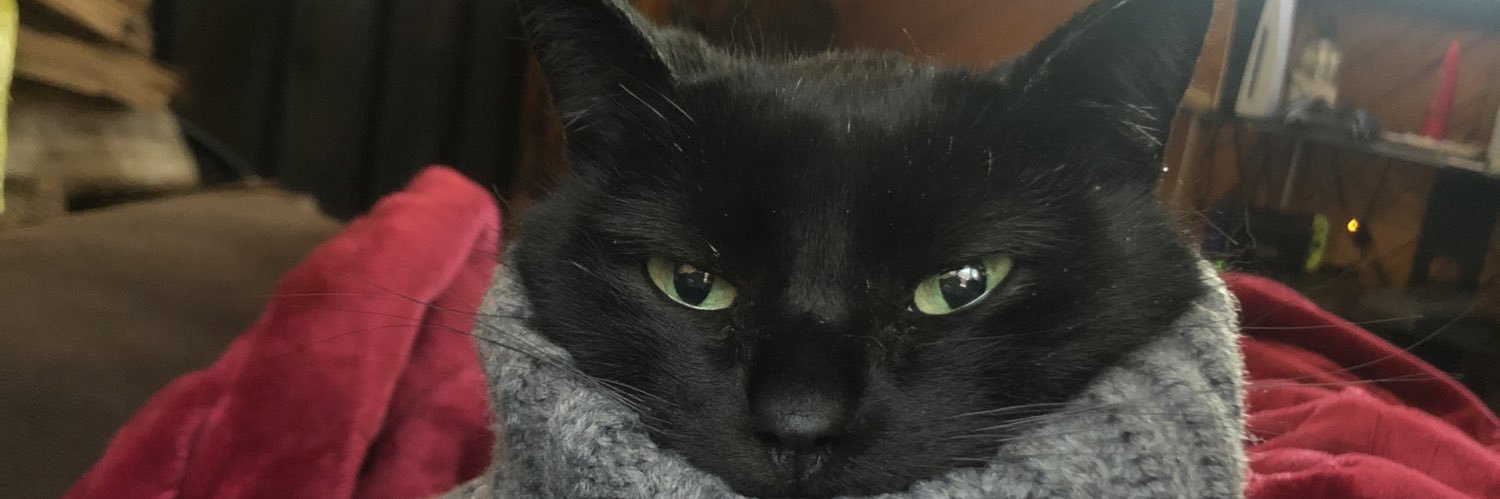 XSoCallMeAmyX's profile banner image