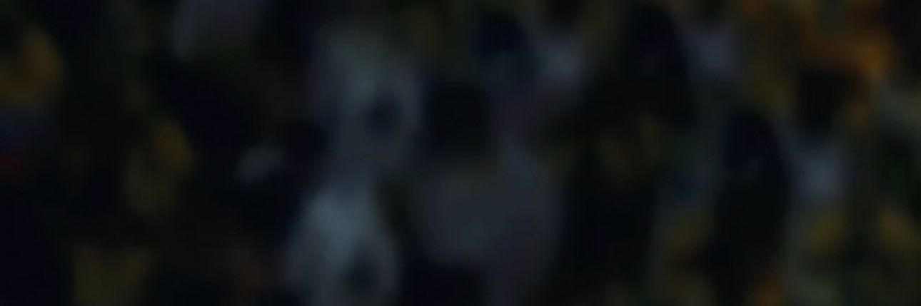 kholeo banner