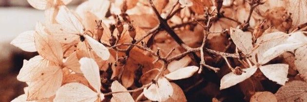 _ineedharrys's profile banner image