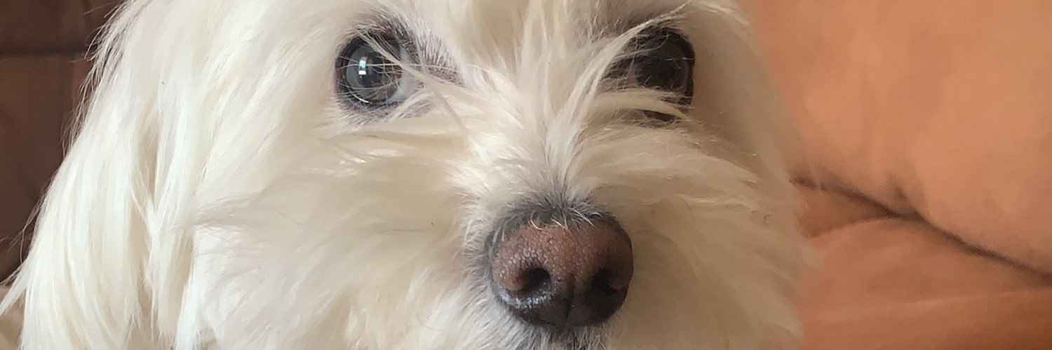 annaps2001's profile banner image