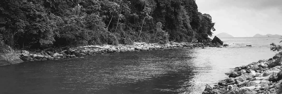 Marcelo Chagas banner