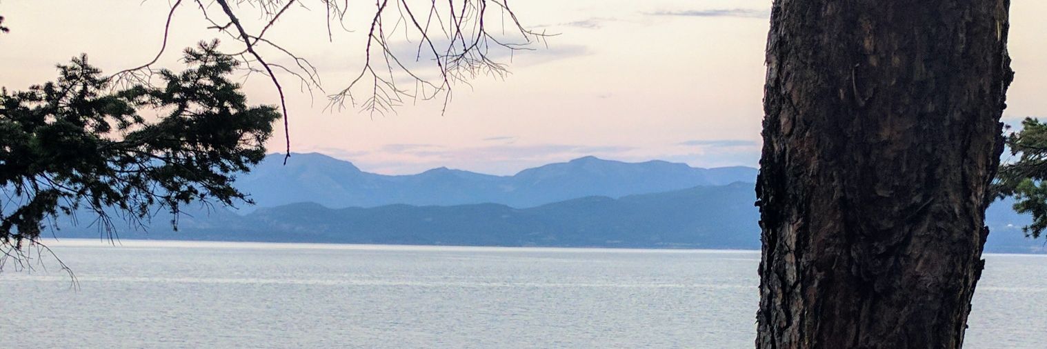 BrookieMick's profile banner image