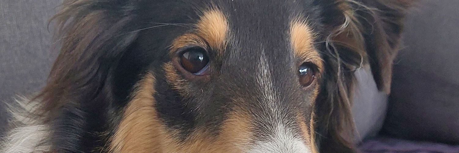 AndyCumminsHD's profile banner image