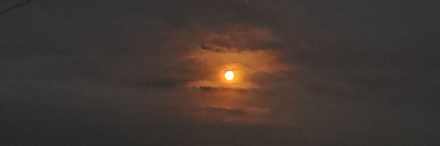 Carlaaaaok's profile banner image